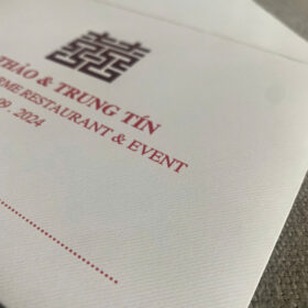 Giấy kem gân Daily